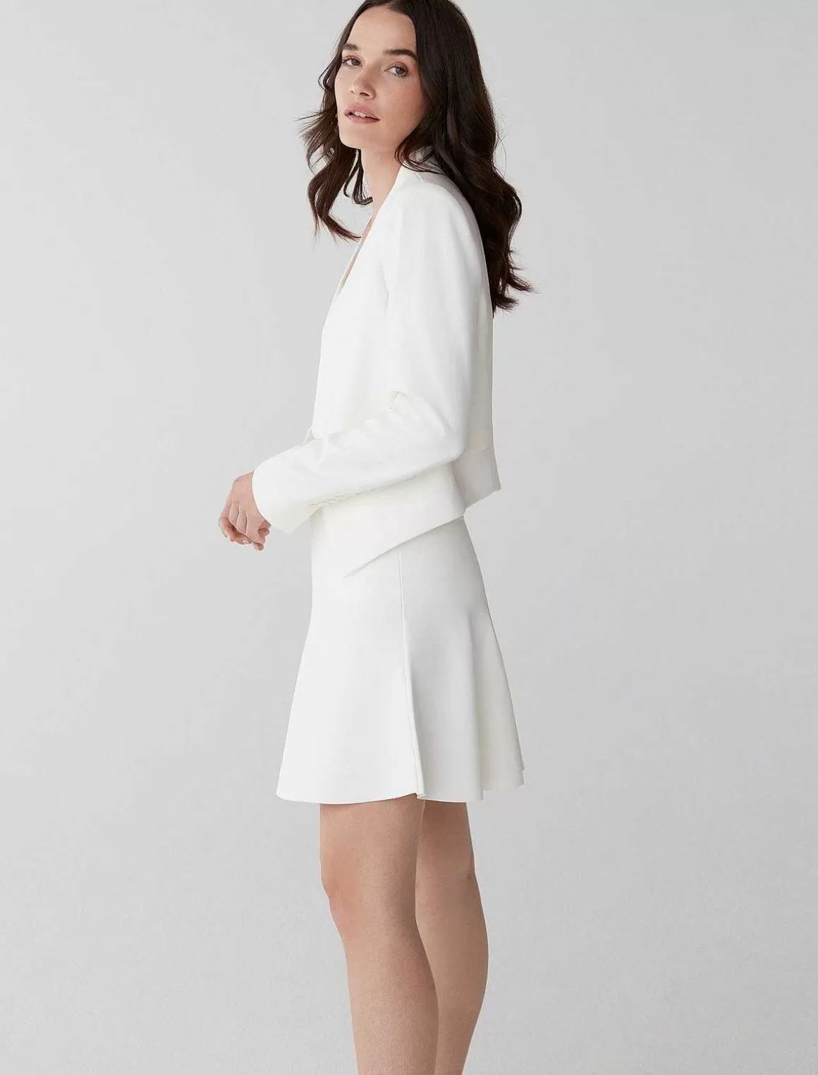 BCBGMAXAZRIA Lloyd Blazer Flash Sale